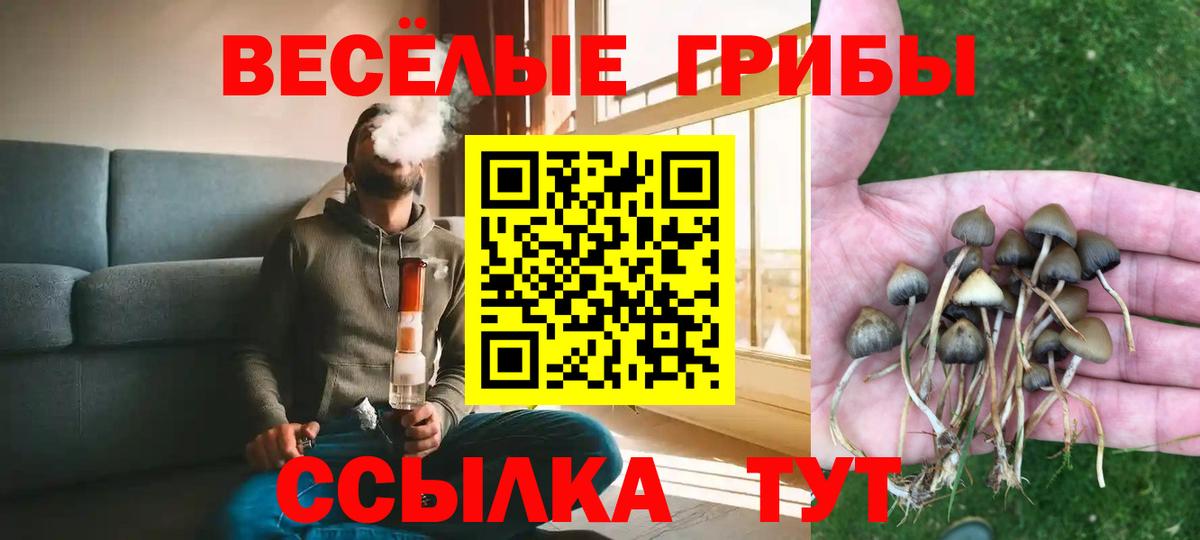 Арсеньев  Галлюциногенные грибы мухоморы  Вход с VPN 